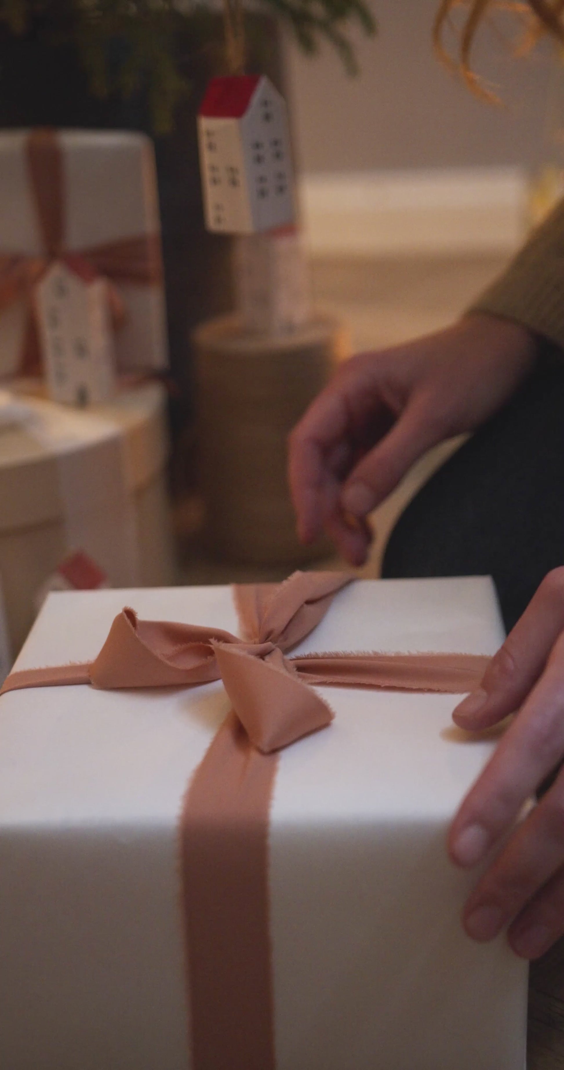 BOX DE NOËL WOUF